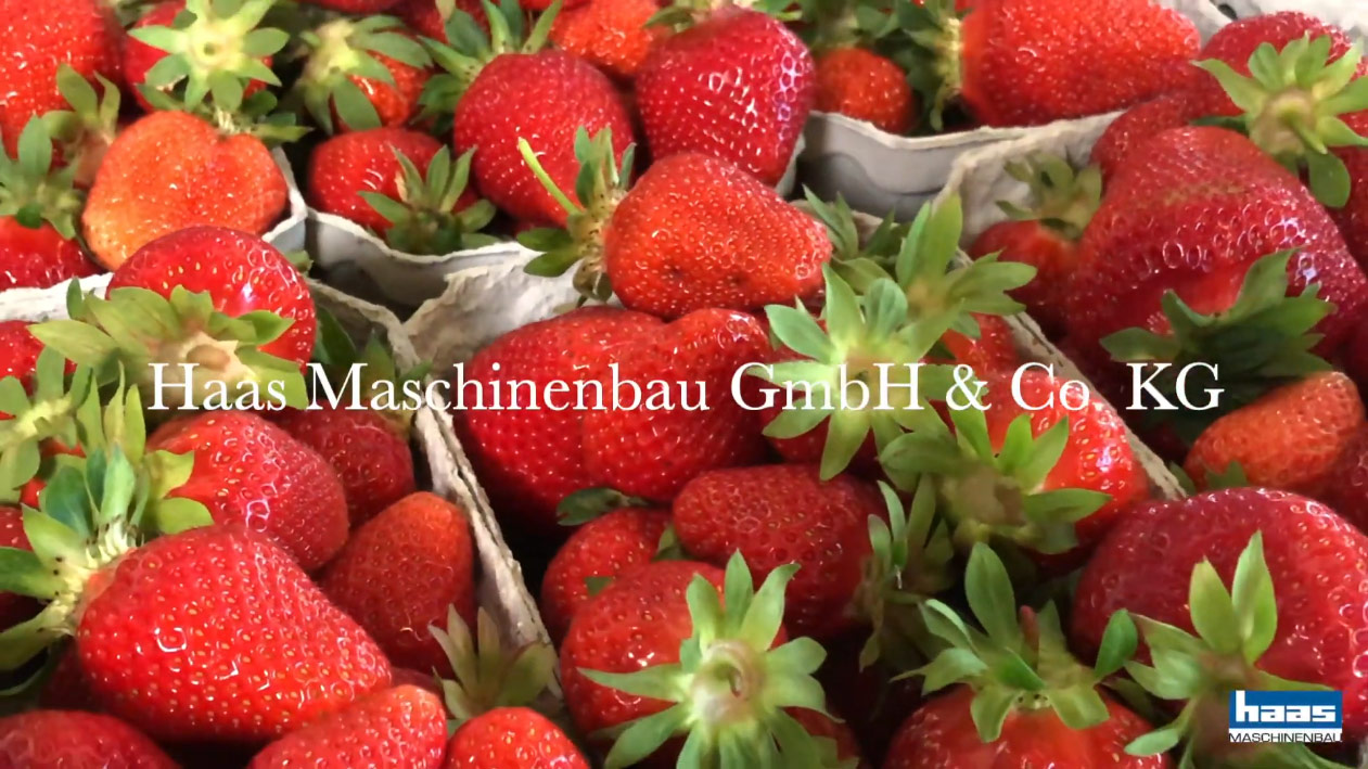 Home Haas Maschinenbau Gmbh